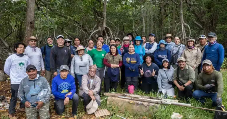 crean red de carbono azul para conservación de ecosistemas costeros en yucatán