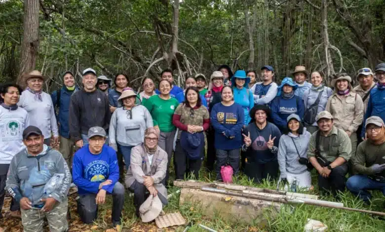 crean red de carbono azul para conservación de ecosistemas costeros en yucatán