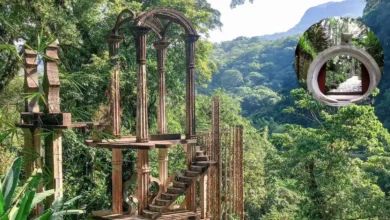 El laberinto surrealista de concreto que se esconde en la selva de Xilitla (Fotos por Getty Images y ArchDaily)