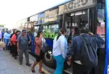 Sistema de transporte Va y Ven continuará (Foto de cortesía)