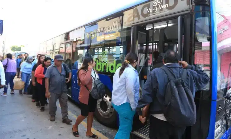 Sistema de transporte Va y Ven continuará (Foto de cortesía)