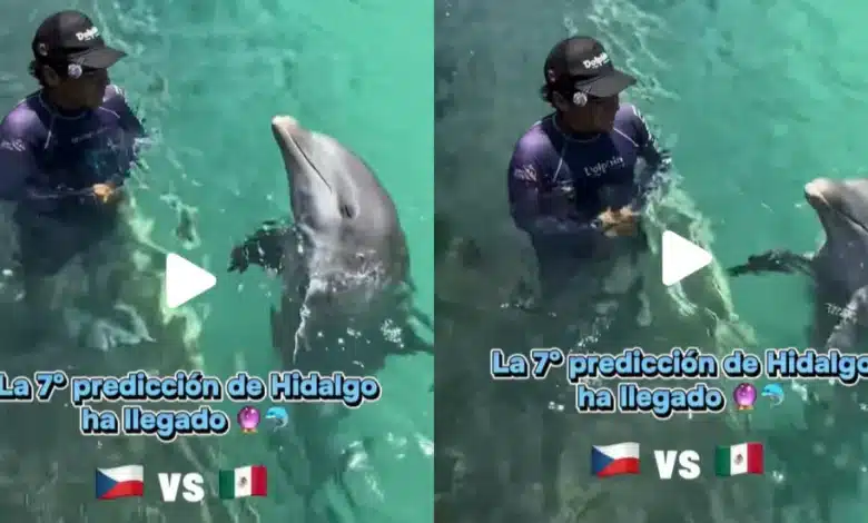 México vs Chequia: Delfín Hidalgo predice marcador del partido (Fotos de internet)