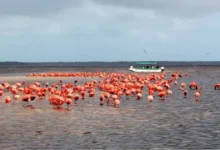 Listo Yucatán para la avalancha turística del verano (Foto de internet)
