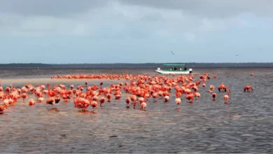 Listo Yucatán para la avalancha turística del verano (Foto de internet)