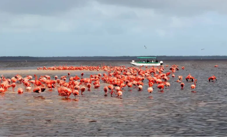 Listo Yucatán para la avalancha turística del verano (Foto de internet)