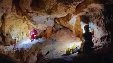 exploran la cueva che’eche’ baak en homún y descubren vestigios mayas y riqueza natural
