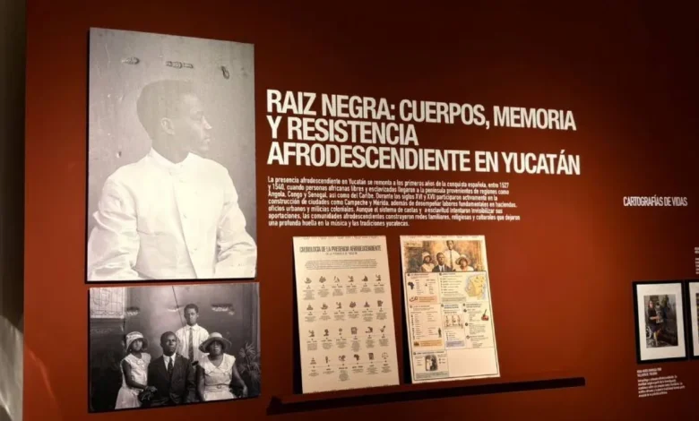 exposición “cuerpos resistentes” muestra la historia de las migraciones que transformaron yucatán