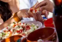 festival del ceviche llegará al malecón de progreso por el 155 aniversario del puerto