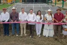 impulsan campo yucateco con inversión citrícola, energía solar y fertilizante en akil