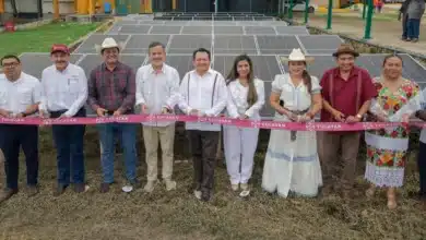 impulsan campo yucateco con inversión citrícola, energía solar y fertilizante en akil