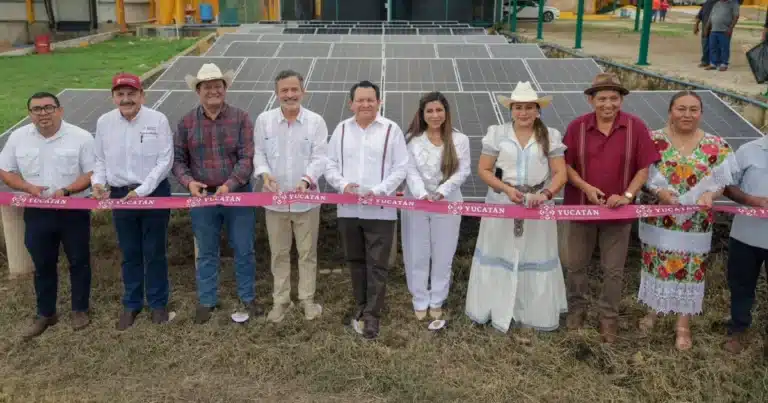 impulsan campo yucateco con inversión citrícola, energía solar y fertilizante en akil