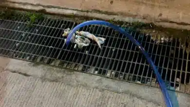 kanasín advierte multas de hasta 12 mil pesos por tirar basura y agua jabonosa en calles