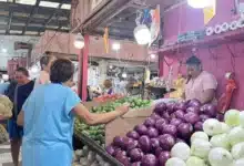 la cebolla en la cocina yucateca tres variedades que transforman el sabor de los platillos tradicionales