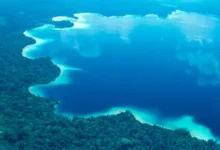 laguna miramar, el tesoro natural escondido en el corazón de la selva lacandona