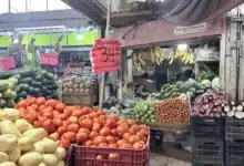 lluvias abaratan cítricos, pero tomate vuelve a subir en mérida