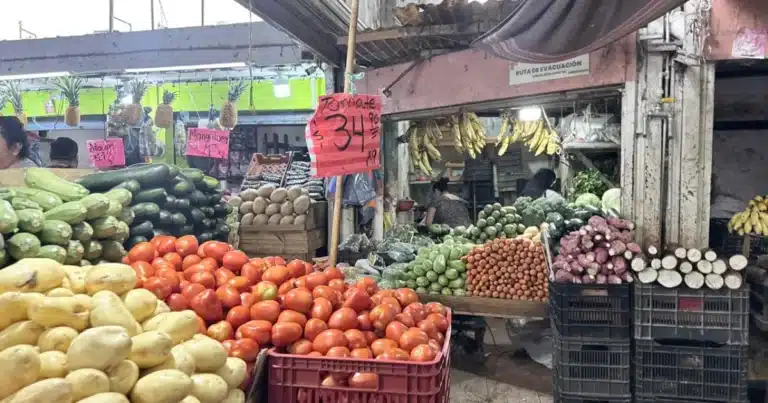 lluvias abaratan cítricos, pero tomate vuelve a subir en mérida