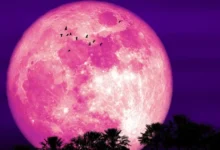luna de fresa iluminará el cielo de méxico este 29 de junio