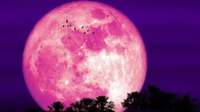 luna de fresa iluminará el cielo de méxico este 29 de junio