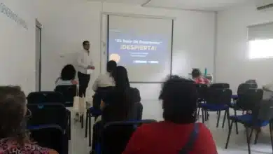 más de 300 proyectos emprendedores han sido impulsados en mérida