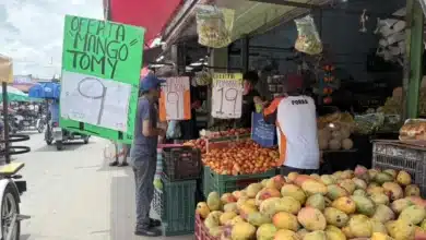 mercado de kanasín atrae a compradores de mérida por sus precios bajos