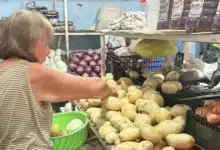 papa alcanza hasta 40 pesos por kilo en mérida y presiona el bolsillo de las familias