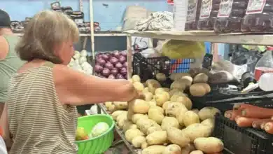 papa alcanza hasta 40 pesos por kilo en mérida y presiona el bolsillo de las familias