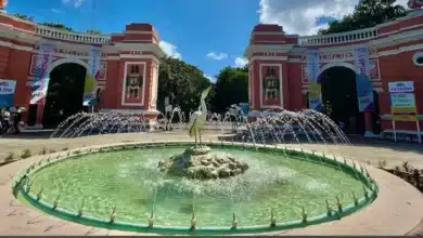 perros callejeros provocan muerte de seis animales en el zoológico del centenario