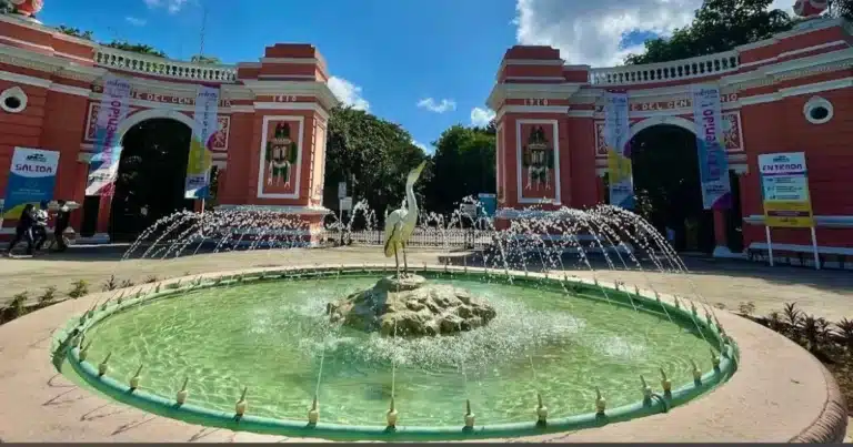 perros callejeros provocan muerte de seis animales en el zoológico del centenario