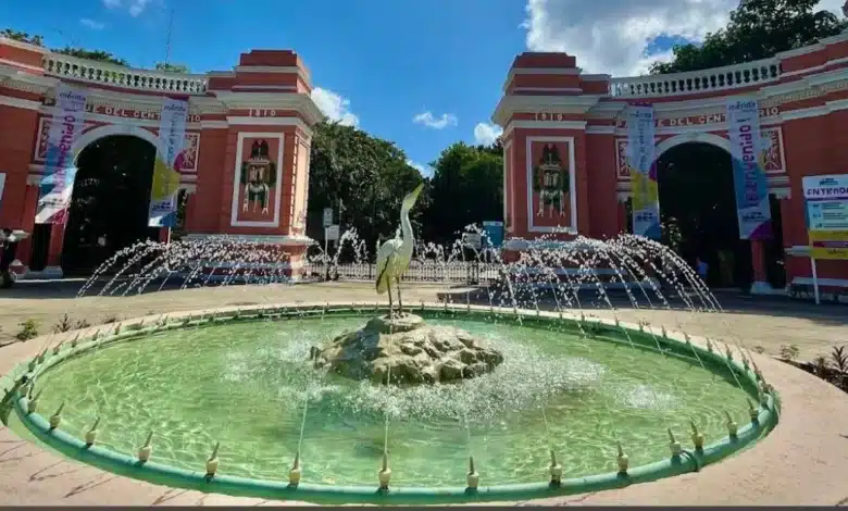 perros callejeros provocan muerte de seis animales en el zoológico del centenario