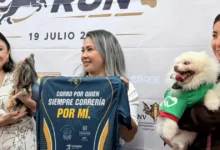 pet power run anuncia su primera carrera en mérida