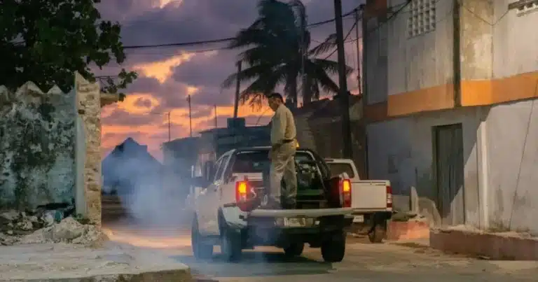 Ayuntamiento de Mérida priorizará fumigación en comisarías para prevenir enfermedades