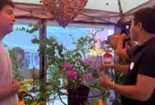 “Alas y Deseos”, el mariposario móvil que cautiva a visitantes en la Expo Foro Ambiental 2026
