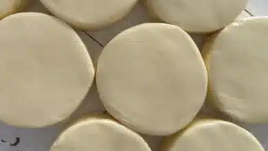 queso de nochistlán el sabor artesanal que preserva la tradición de zacatecas
