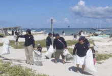 refuerzan saneamiento ambiental y protección de tortugas marinas en yucatán