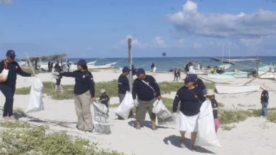 refuerzan saneamiento ambiental y protección de tortugas marinas en yucatán