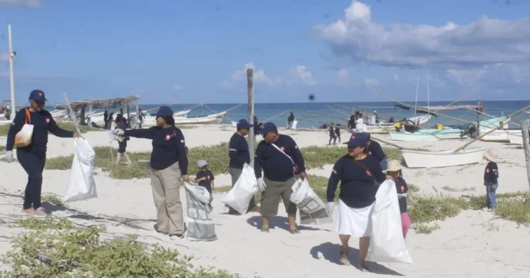 refuerzan saneamiento ambiental y protección de tortugas marinas en yucatán