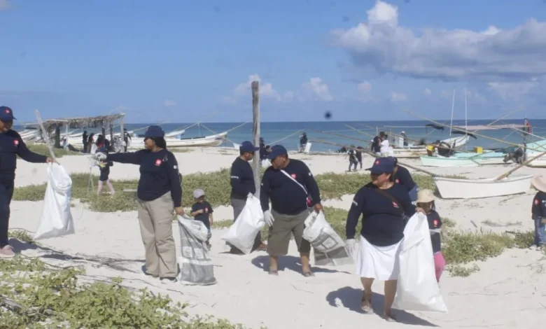 refuerzan saneamiento ambiental y protección de tortugas marinas en yucatán