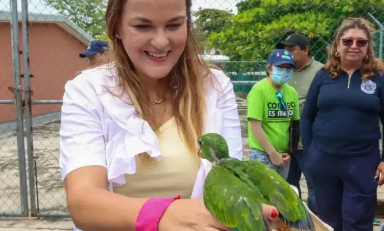 resguardan en animaya a lorito rescatado durante caminata de cecilia patrón en vergel iii