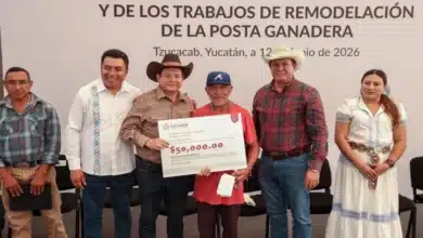 sur de yucatán recibe impulso agropecuario con semillas, infraestructura y anuncios educativos