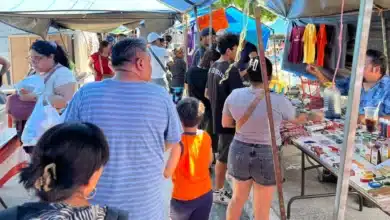 tianguis de san roque se consolida como uno de los mercados más grandes