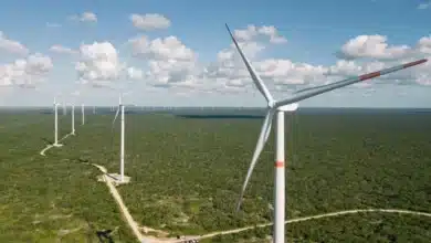 yucatán apunta a lograr autosuficiencia energética en 2030 con nuevas plantas y energía eólica