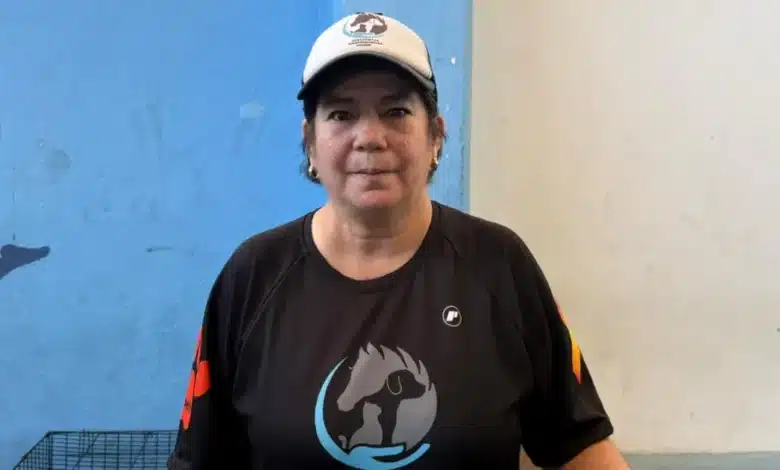 yucatán registra más de mil 100 casos de maltrato animal en lo que va del año