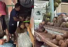¿100 pesos por un litro el agua de coco se dispara en mérida y enfría menos el bolsillo