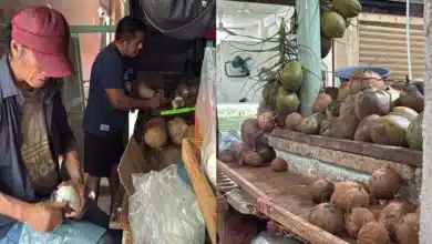 ¿100 pesos por un litro el agua de coco se dispara en mérida y enfría menos el bolsillo