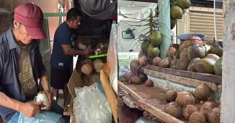 ¿100 pesos por un litro el agua de coco se dispara en mérida y enfría menos el bolsillo