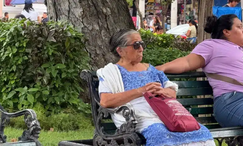 adultos mayores, el blanco favorito de los estafadores alertan por fraudes telefónicos y digitales