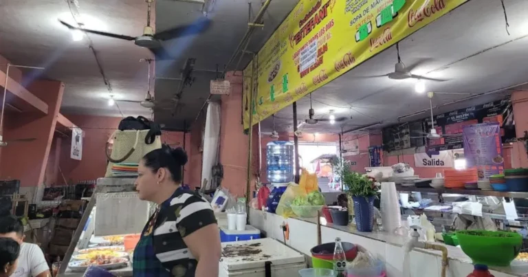 aprueban más de 4 millones de pesos para renovar el área de mariscos del lucas de gálvez