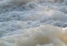 avanza reforma para sancionar el vertido de aceites y aguas jabonosas en mérida