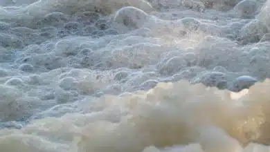 avanza reforma para sancionar el vertido de aceites y aguas jabonosas en mérida