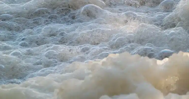 avanza reforma para sancionar el vertido de aceites y aguas jabonosas en mérida